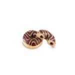 DONUT FOURRÉ ZEBRÉ